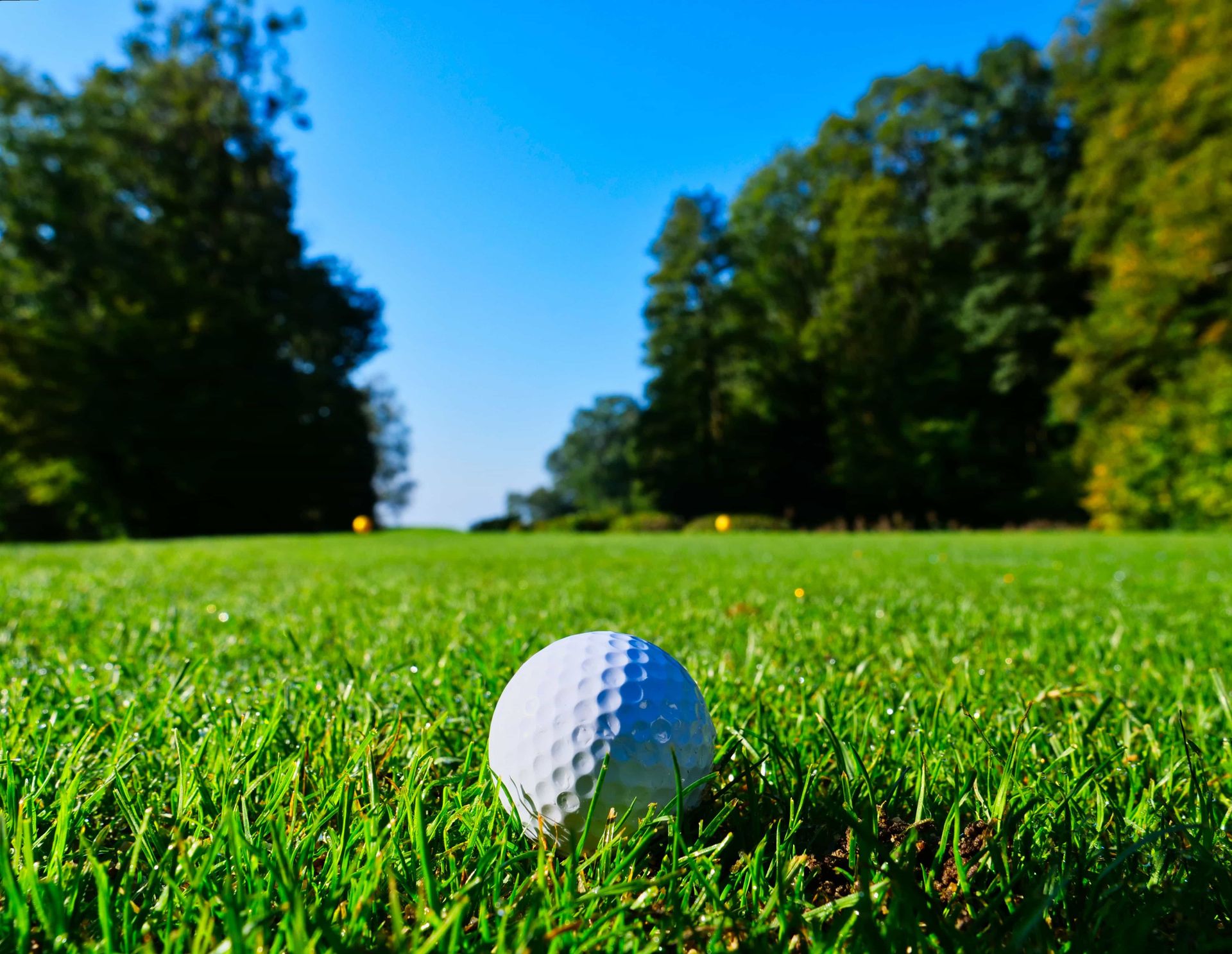 Golf de Mignaloux Beauvoir